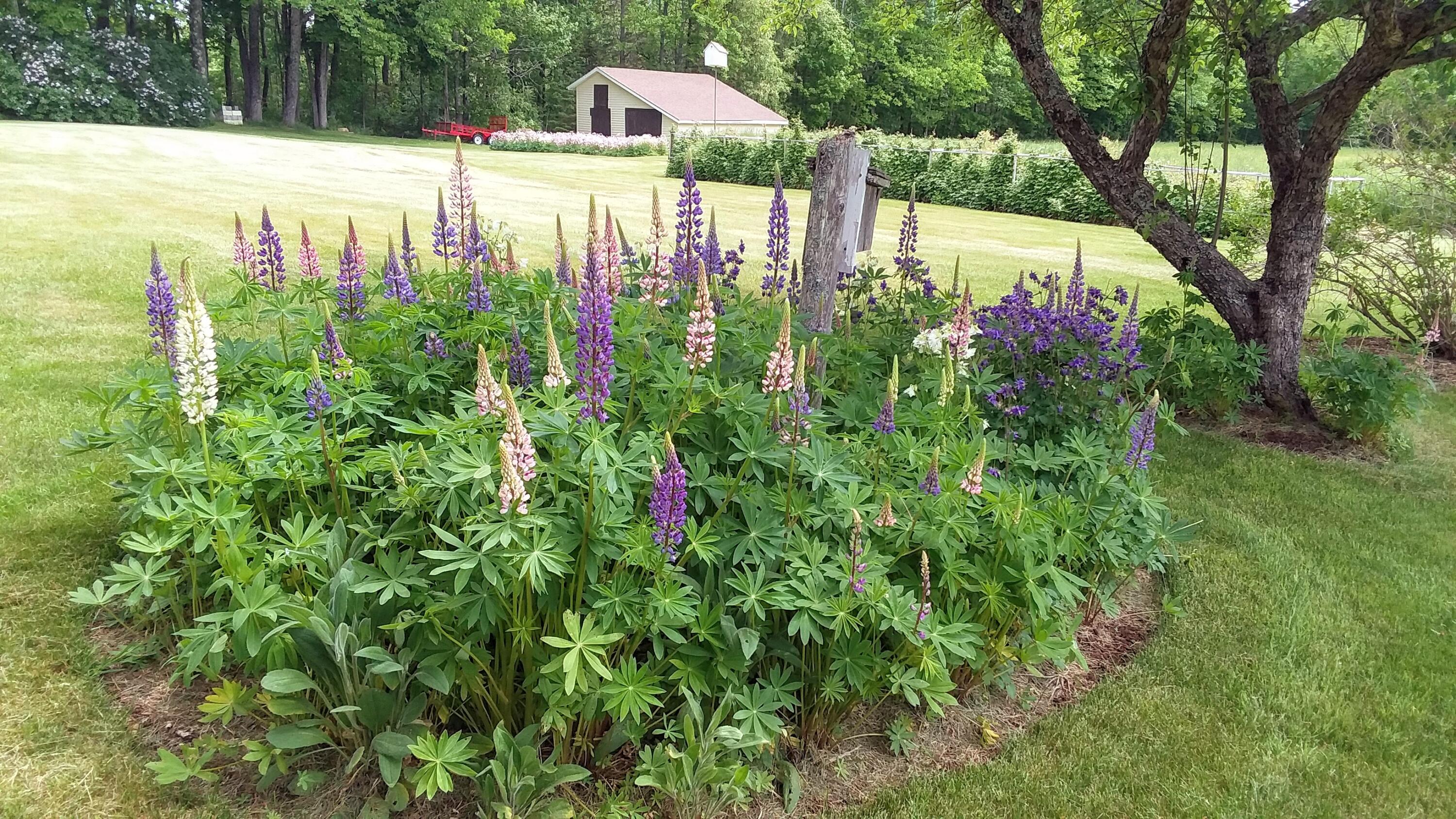71 Upper-charleston Road Charleston ME 04422