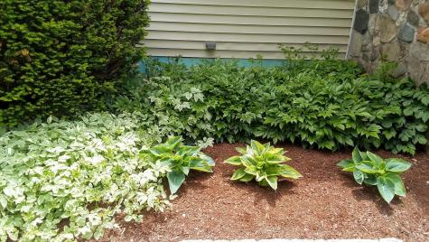 71 Upper-charleston Road Charleston ME 04422
