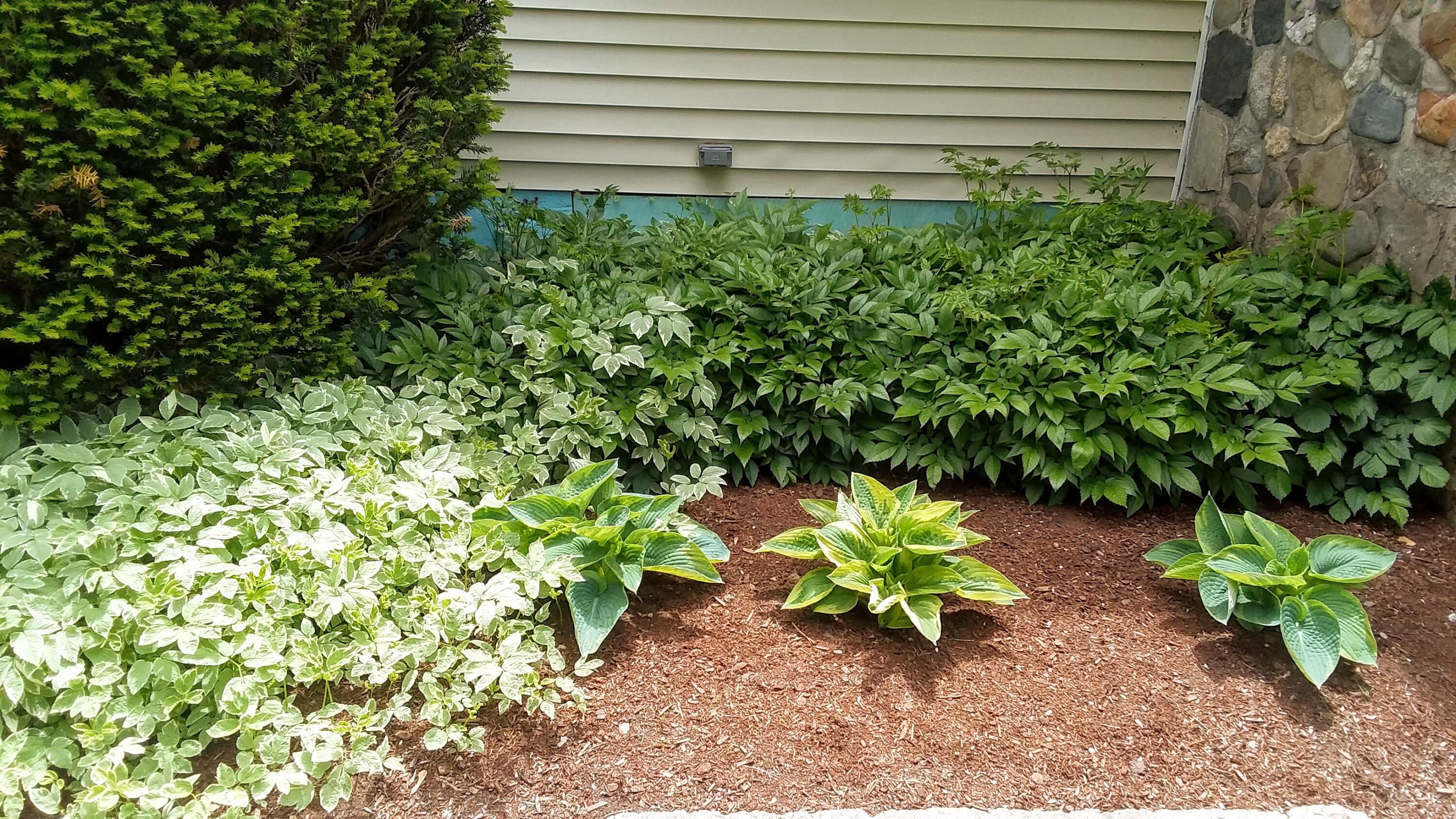 71 Upper-charleston Road Charleston ME 04422