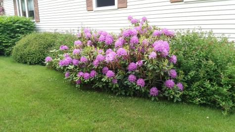 71 Upper-charleston Road Charleston ME 04422