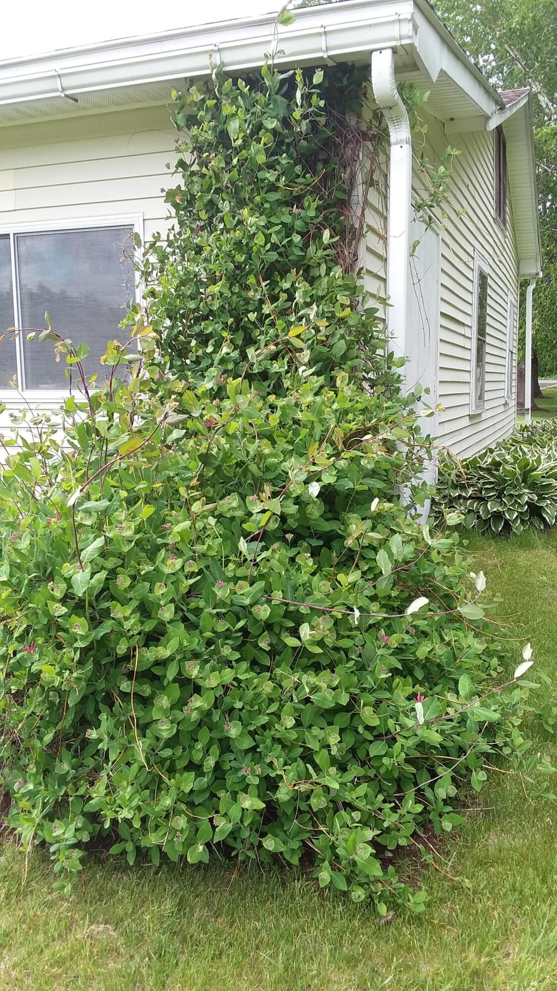 71 Upper-charleston Road Charleston ME 04422