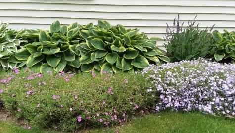 71 Upper-charleston Road Charleston ME 04422
