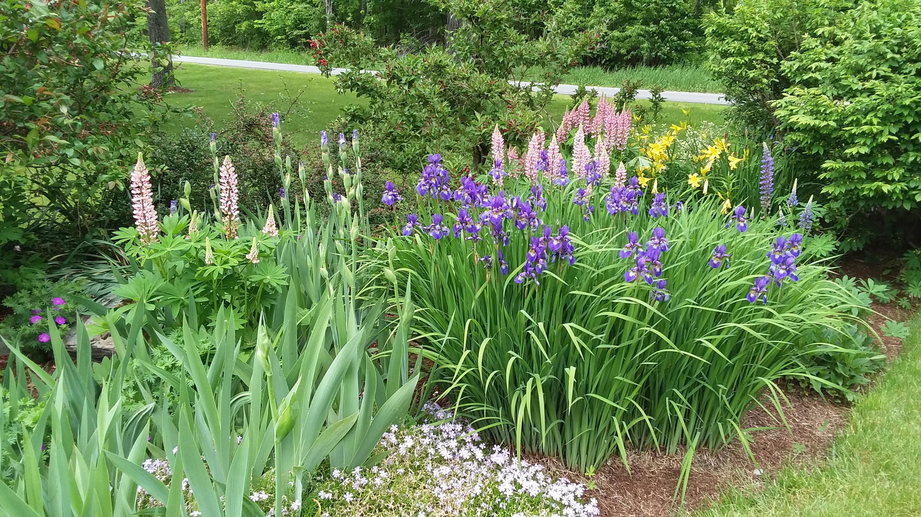 71 Upper-charleston Road Charleston ME 04422