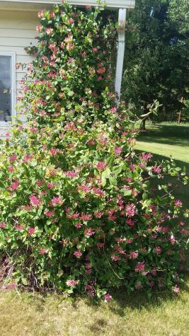 71 Upper-charleston Road Charleston ME 04422