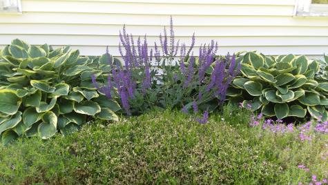 71 Upper-charleston Road Charleston ME 04422