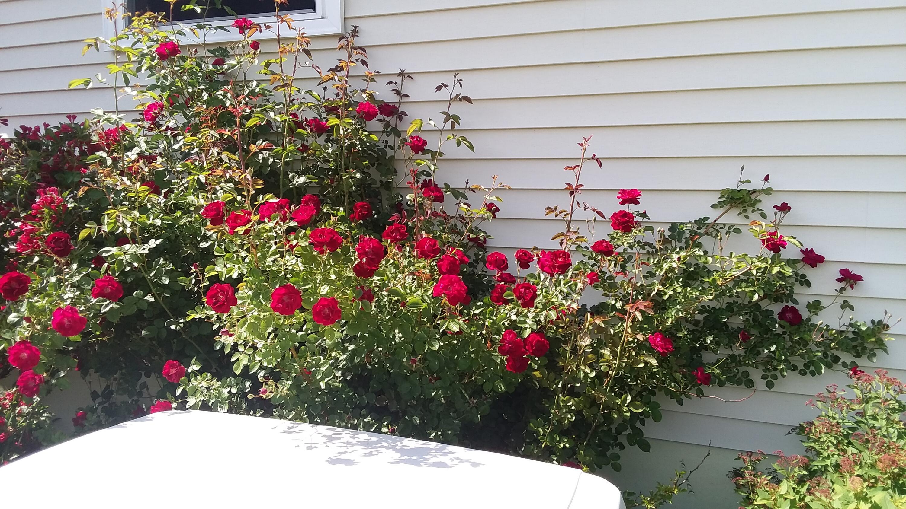 71 Upper-charleston Road Charleston ME 04422