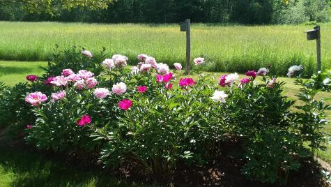71 Upper-charleston Road Charleston ME 04422