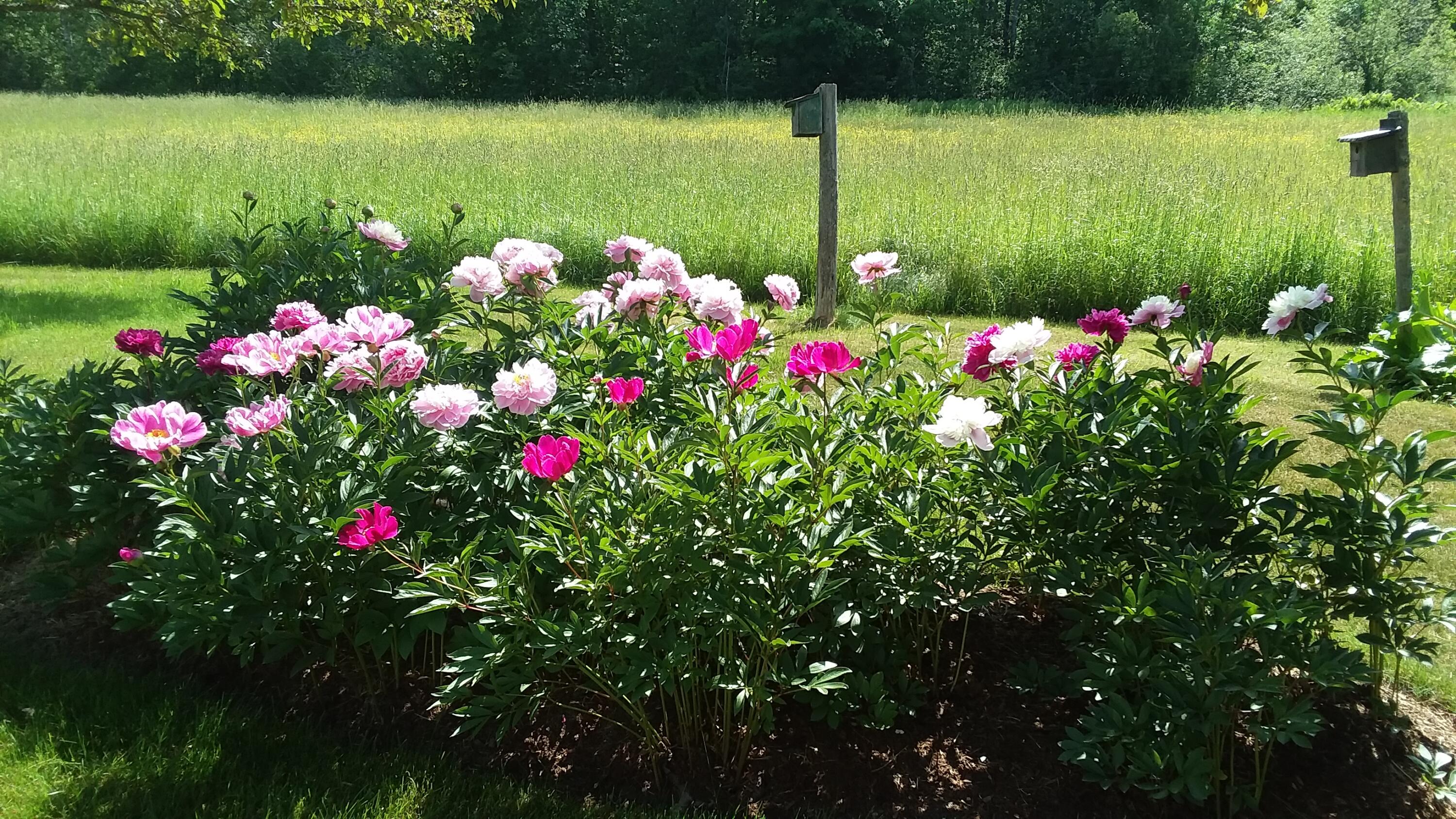 71 Upper-charleston Road Charleston ME 04422