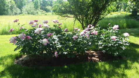 71 Upper-charleston Road Charleston ME 04422