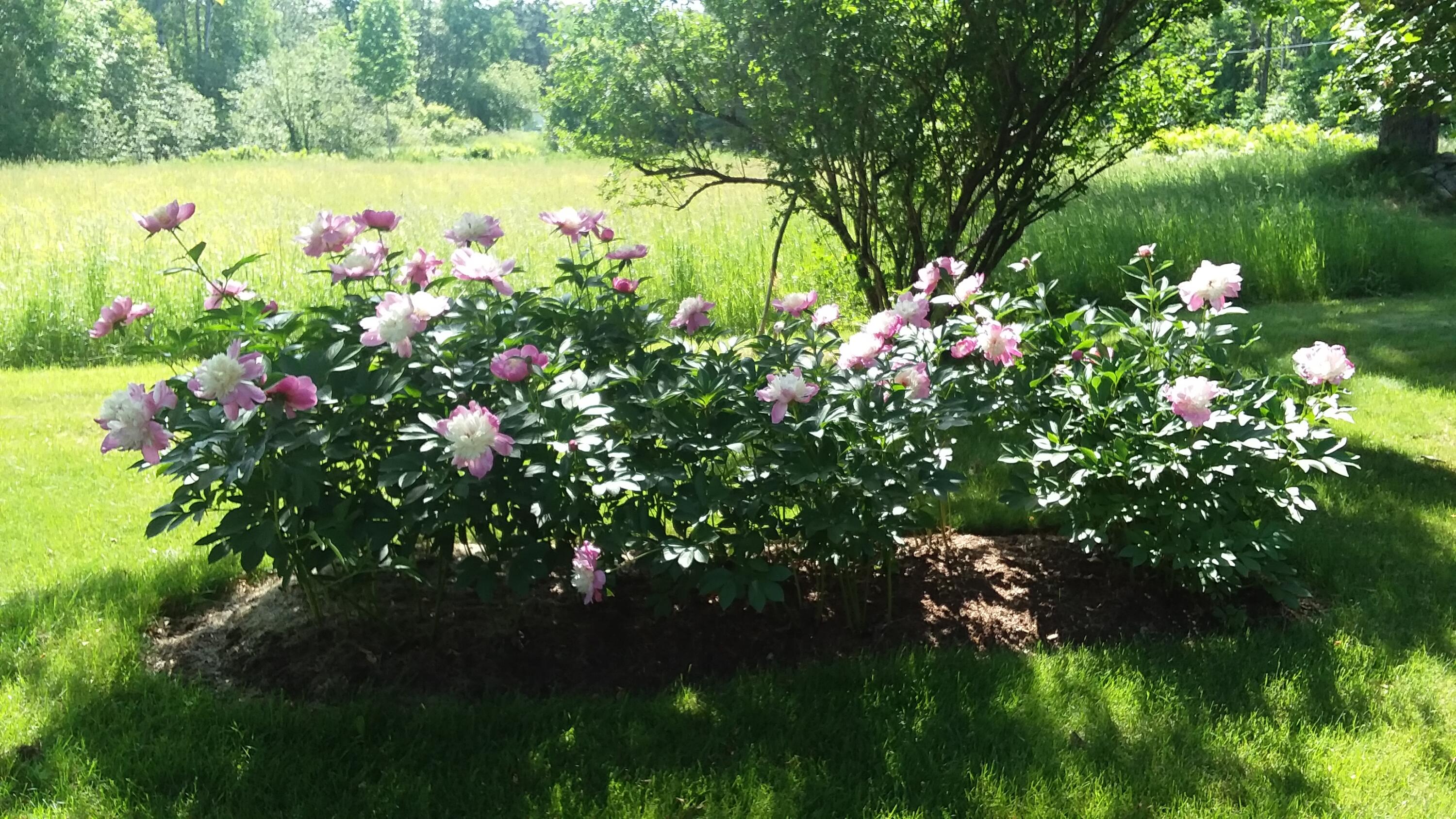 71 Upper-charleston Road Charleston ME 04422