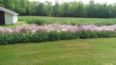 71 Upper-charleston Road Charleston ME 04422