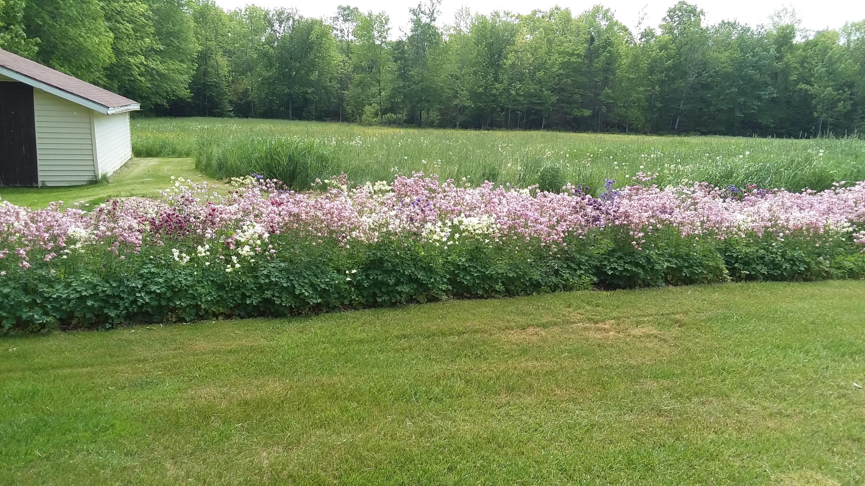 71 Upper-charleston Road Charleston ME 04422