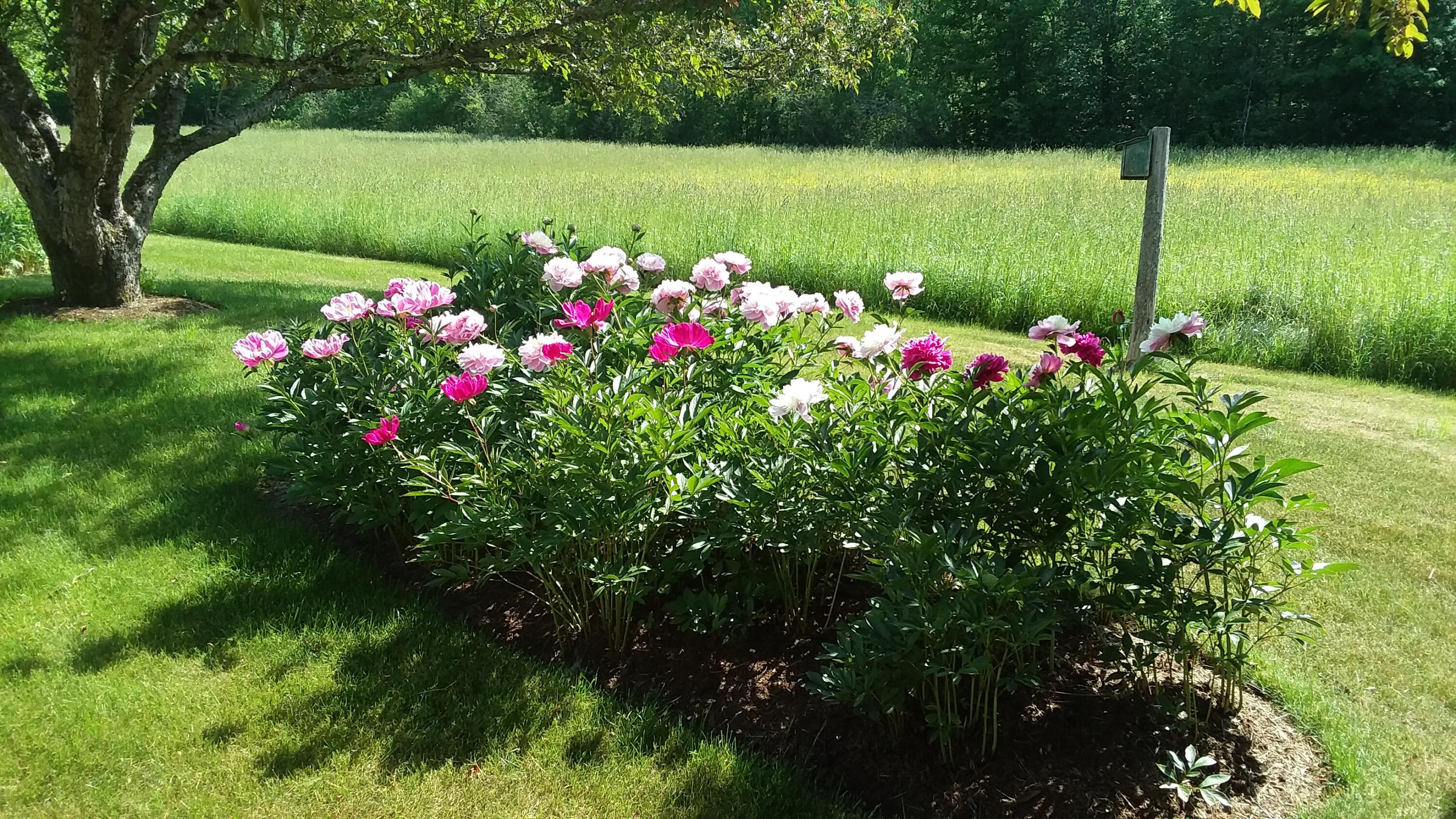 71 Upper-charleston Road Charleston ME 04422