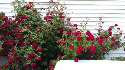 71 Upper-charleston Road Charleston ME 04422