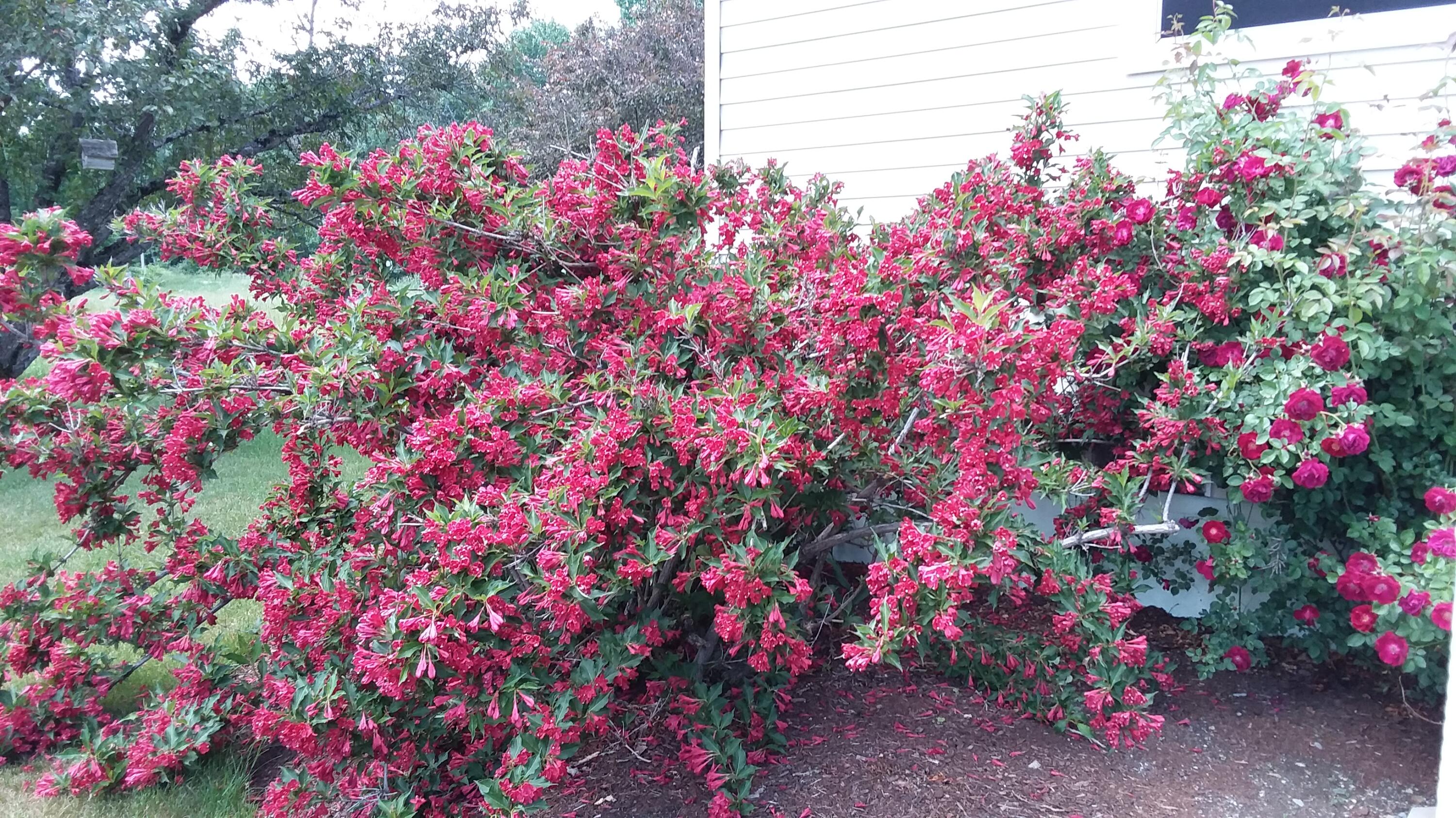 71 Upper-charleston Road Charleston ME 04422
