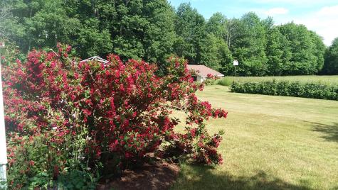 71 Upper-charleston Road Charleston ME 04422