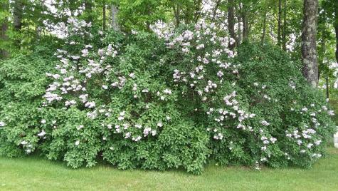71 Upper-charleston Road Charleston ME 04422