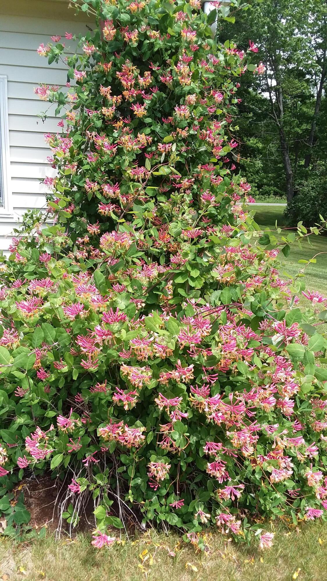 71 Upper-charleston Road Charleston ME 04422