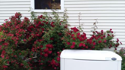 71 Upper-charleston Road Charleston ME 04422