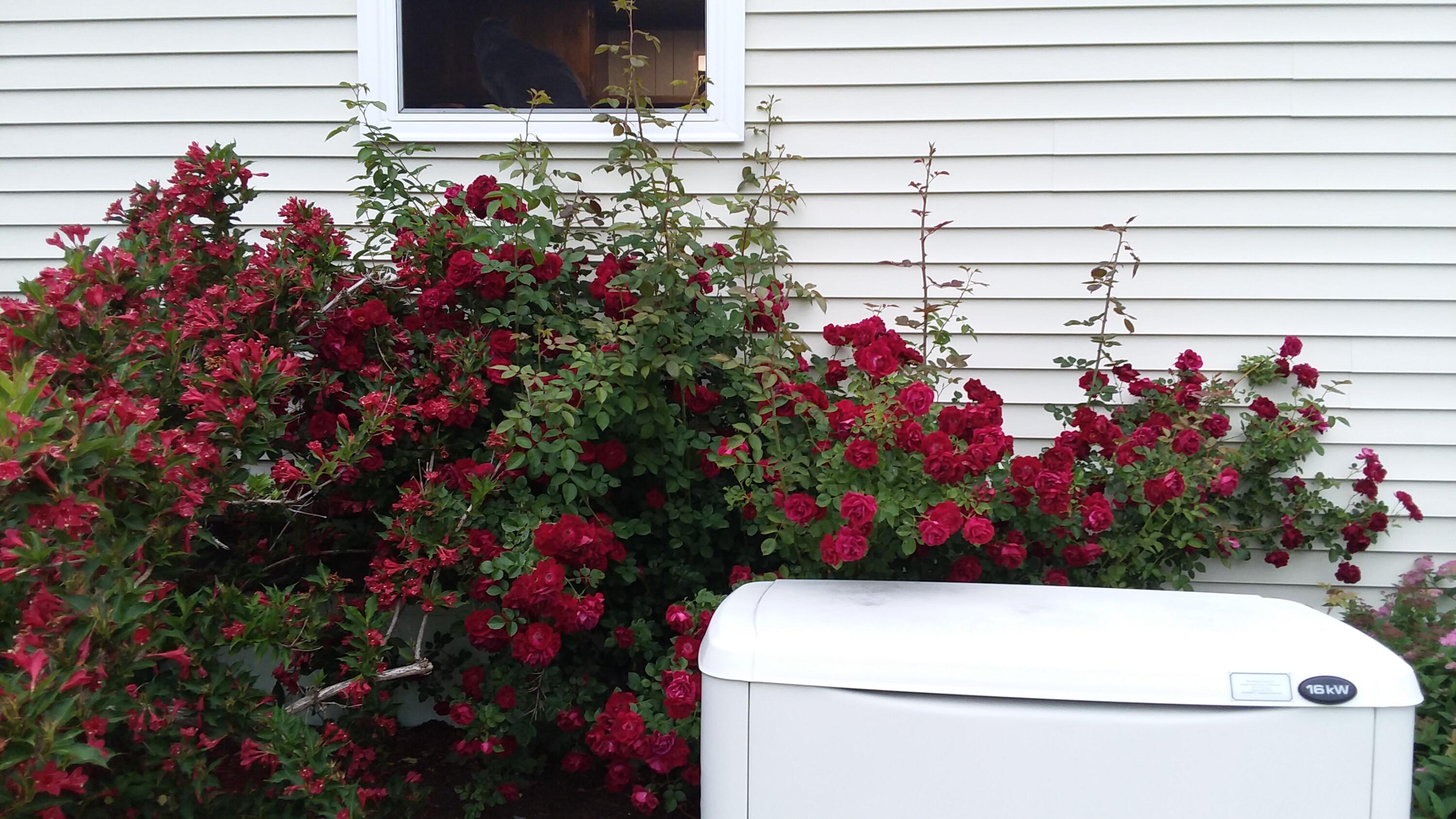 71 Upper-charleston Road Charleston ME 04422