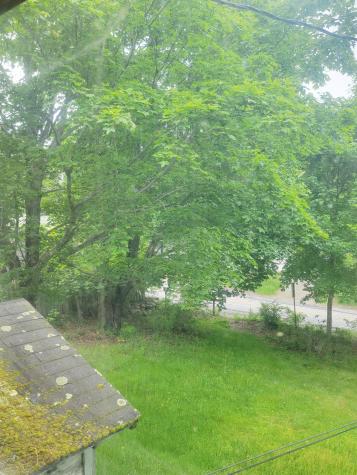 17 Otter Creek Drive Mount Desert ME 04660