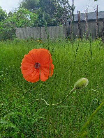 17 Otter Creek Drive Mount Desert ME 04660