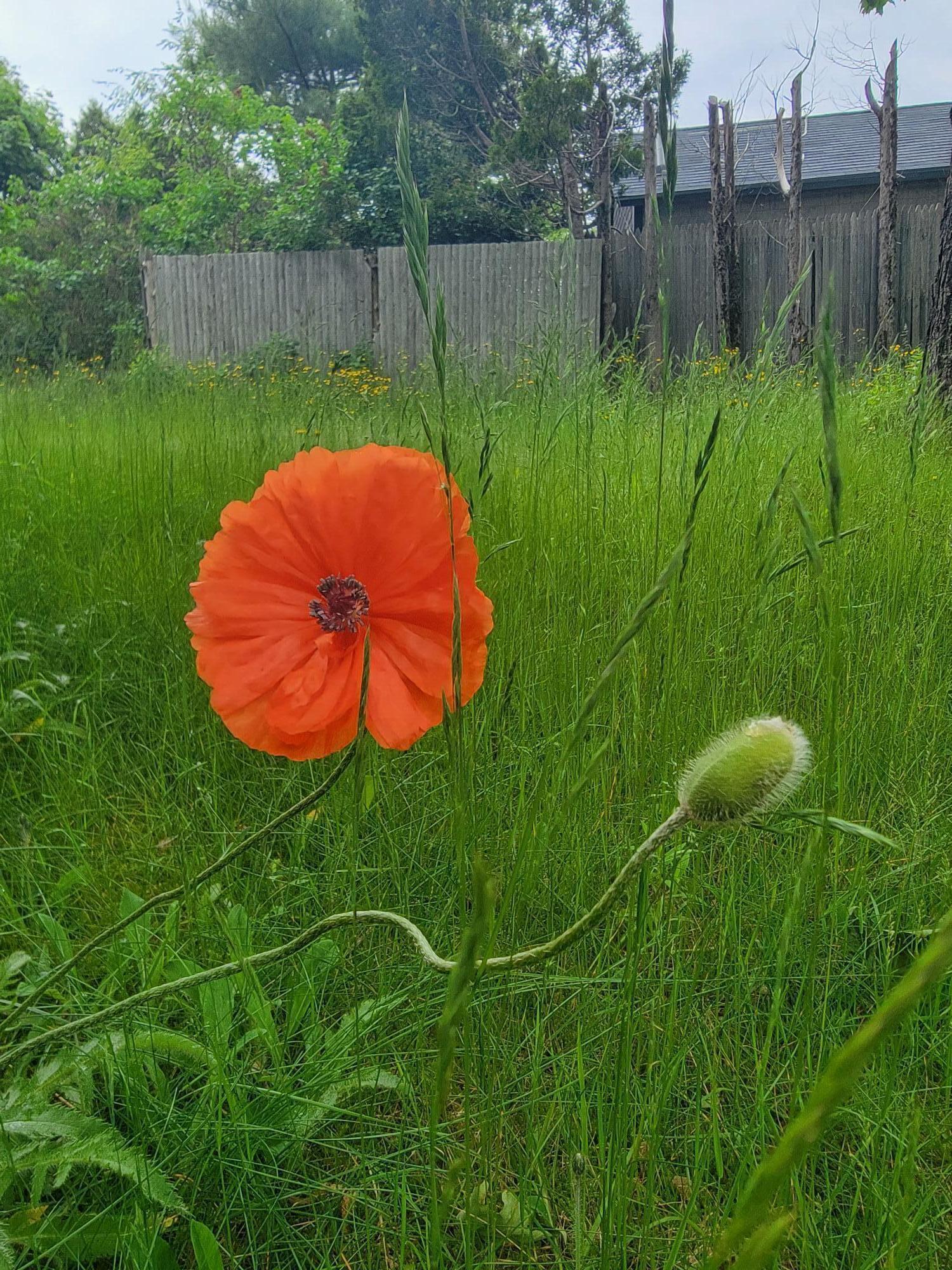 17 Otter Creek Drive Mount Desert ME 04660