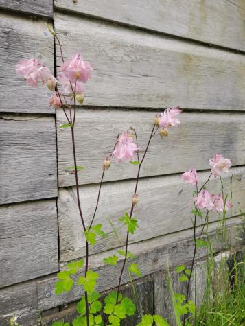 17 Otter Creek Drive Mount Desert ME 04660