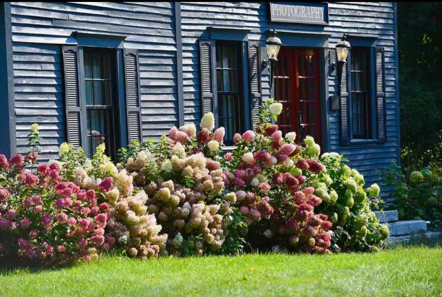 78 Park Street Dover-foxcroft ME 04426