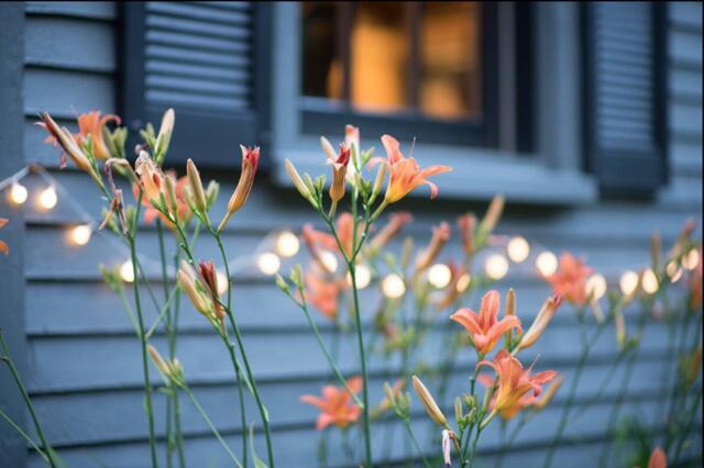 78 Park Street Dover-foxcroft ME 04426