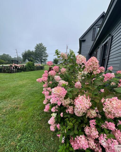 78 Park Street Dover-foxcroft ME 04426