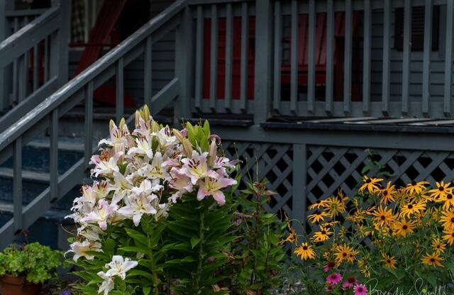 78 Park Street Dover-foxcroft ME 04426