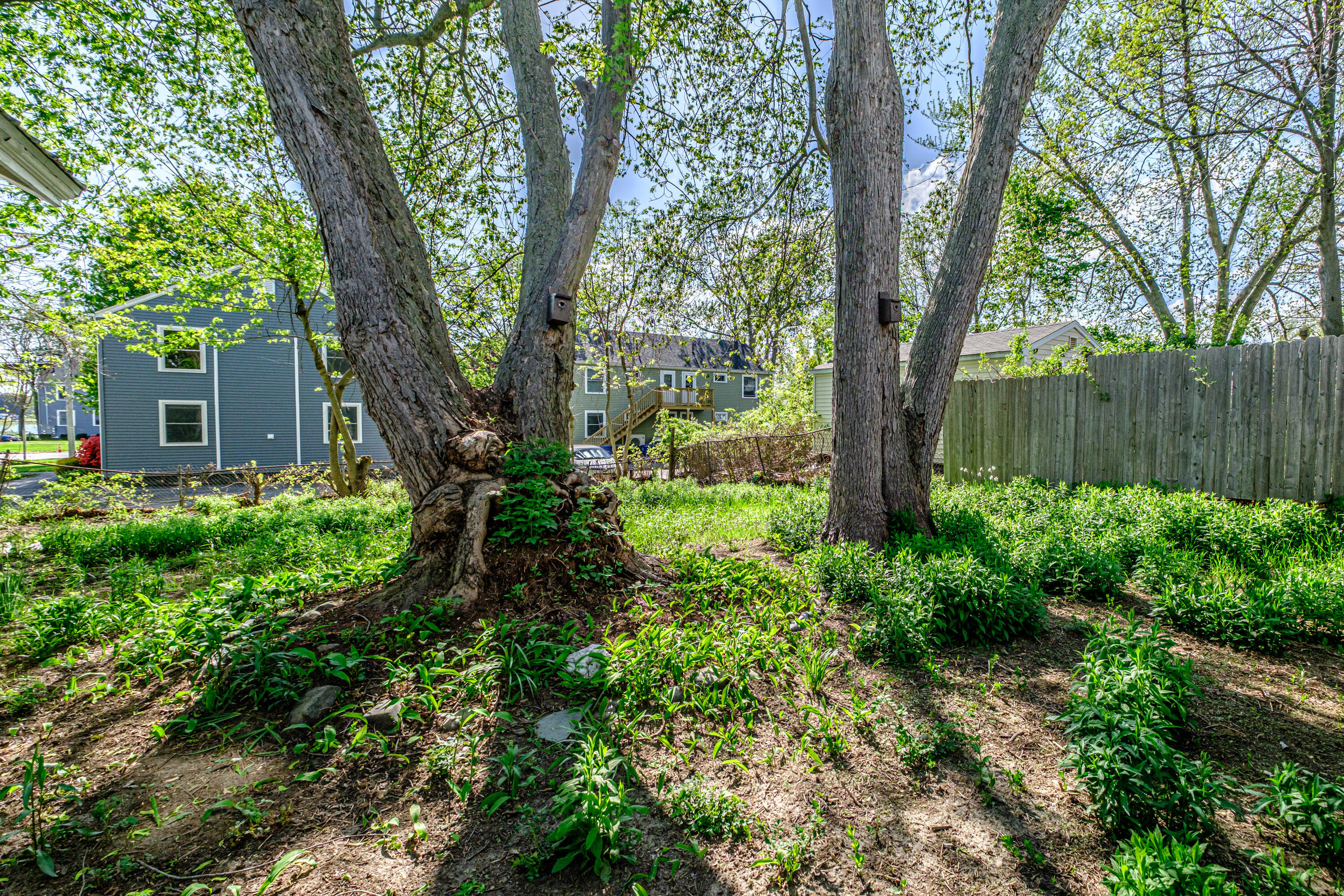 115 Mussey Street South Portland ME 04106