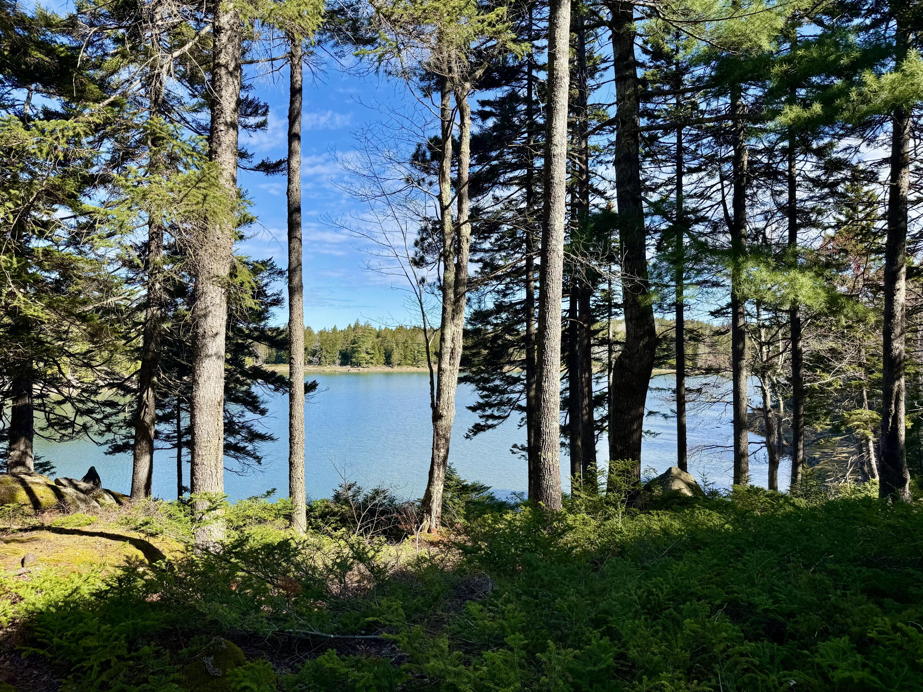 368 Calderwood Neck Road Vinalhaven ME 04863