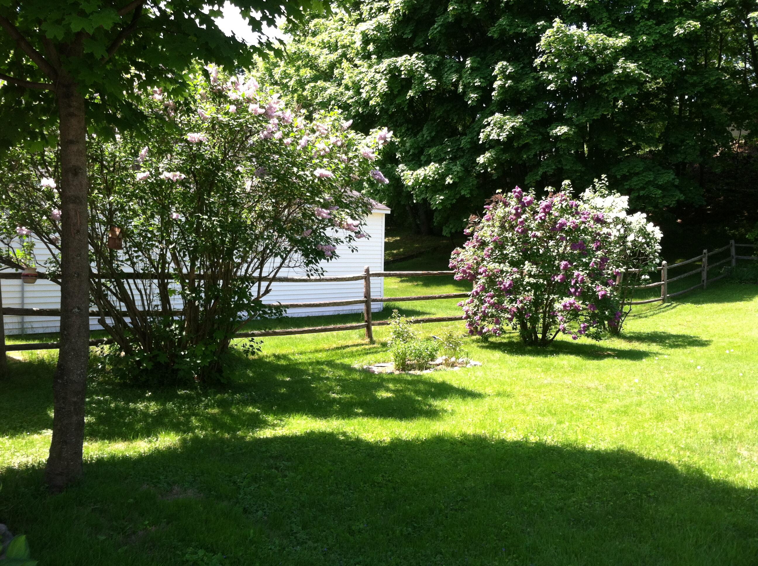 346 Penobscot Avenue Millinocket ME 04462