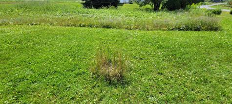 335 Lavertu Road Madawaska ME 04773