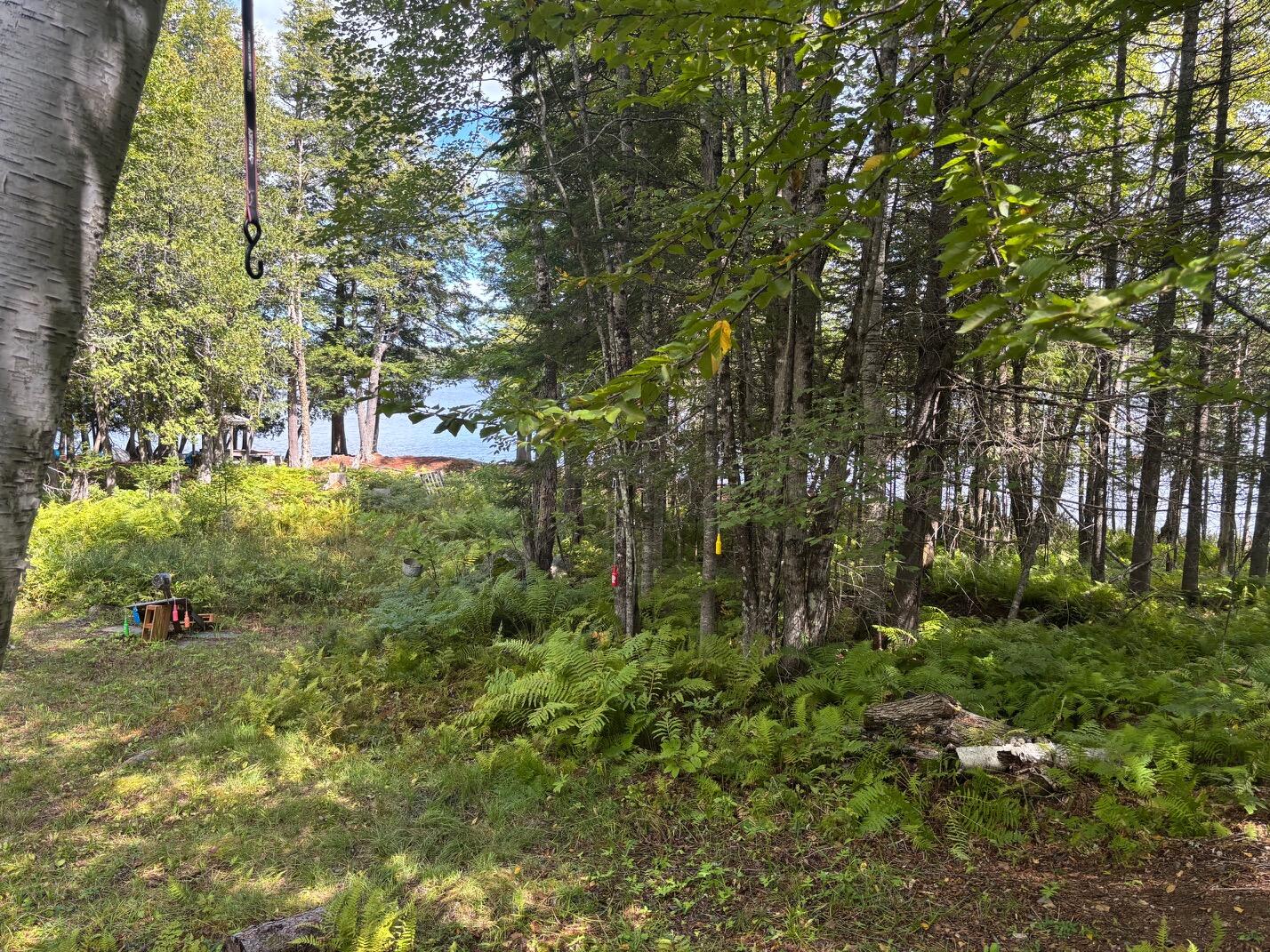 162.7 Collins Drive Freeman Twp ME 04983