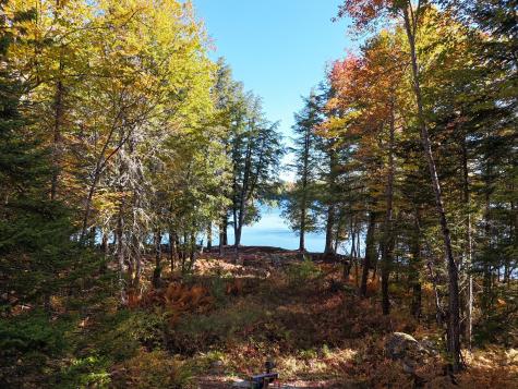 Lot #162.7 Collins Drive Street Freeman Twp ME 04983
