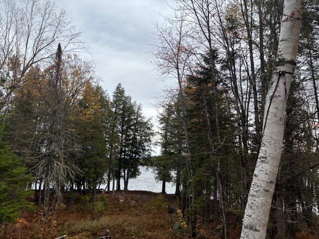 162.7 Collins Drive Freeman Twp ME 04983