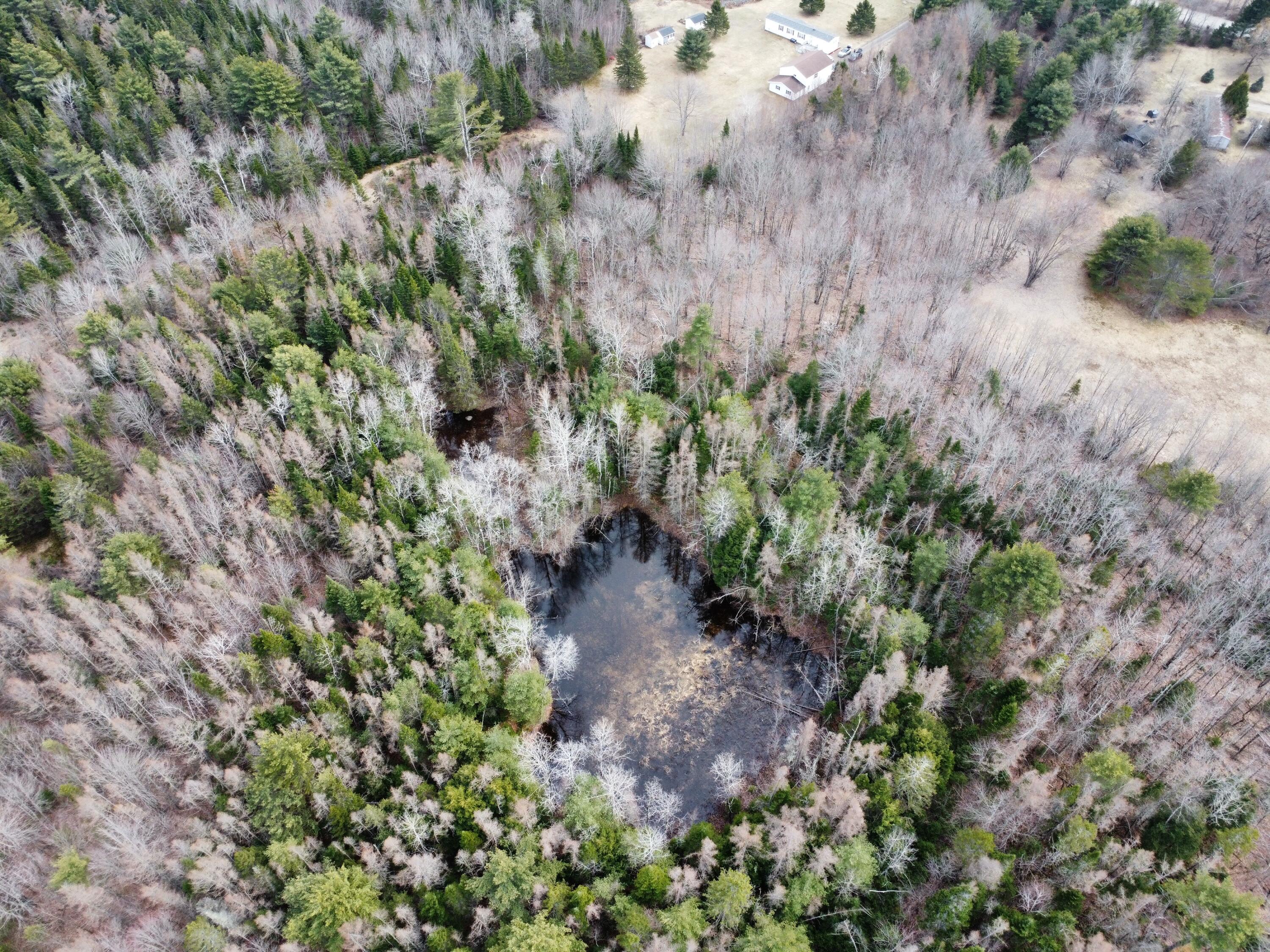 451 Johnson Flat Road Clinton ME 04927