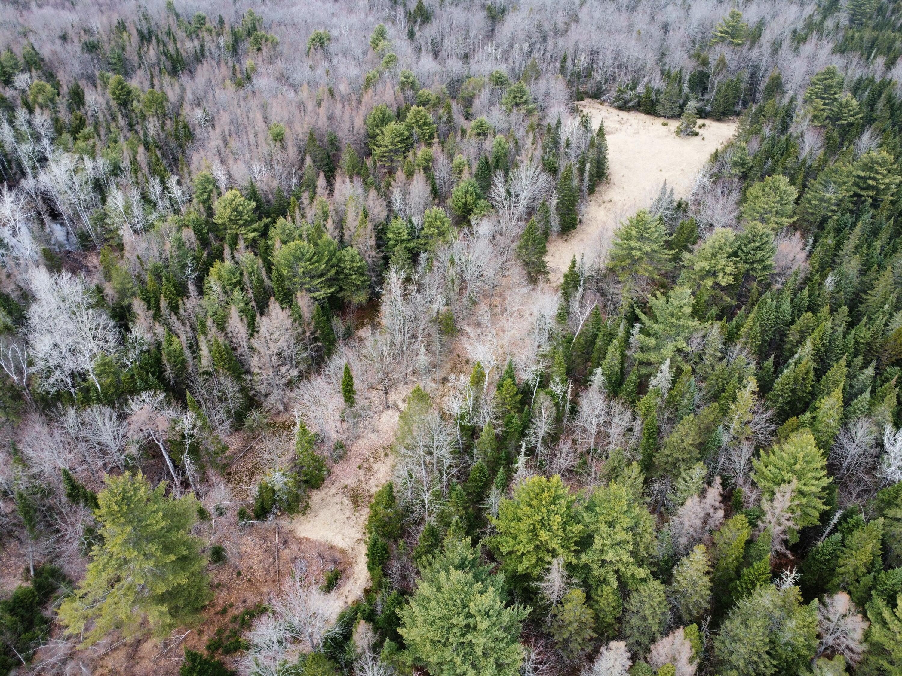 451 Johnson Flat Road Clinton ME 04927