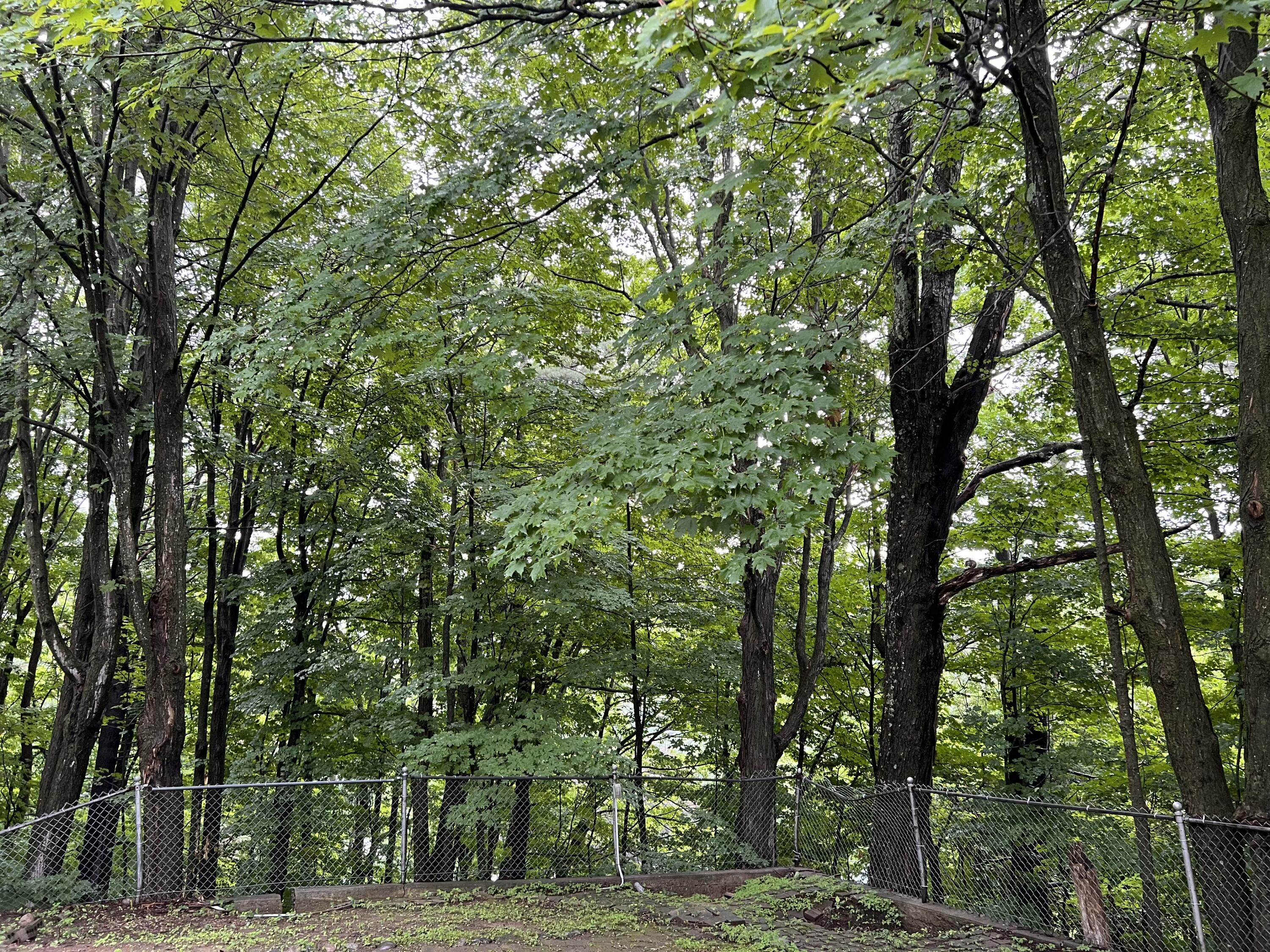 25 High Street Wilton ME 04294