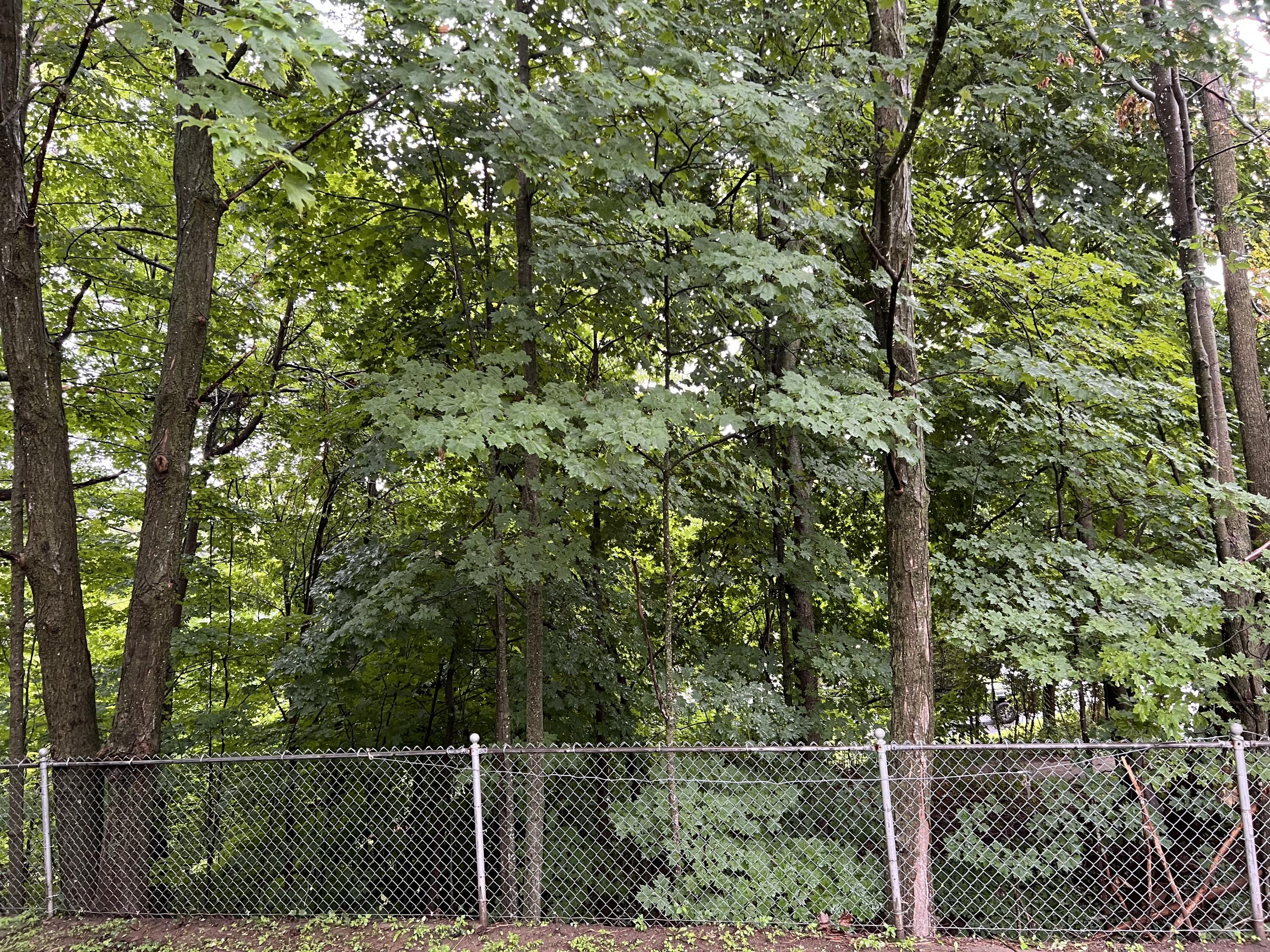 25 High Street Wilton ME 04294