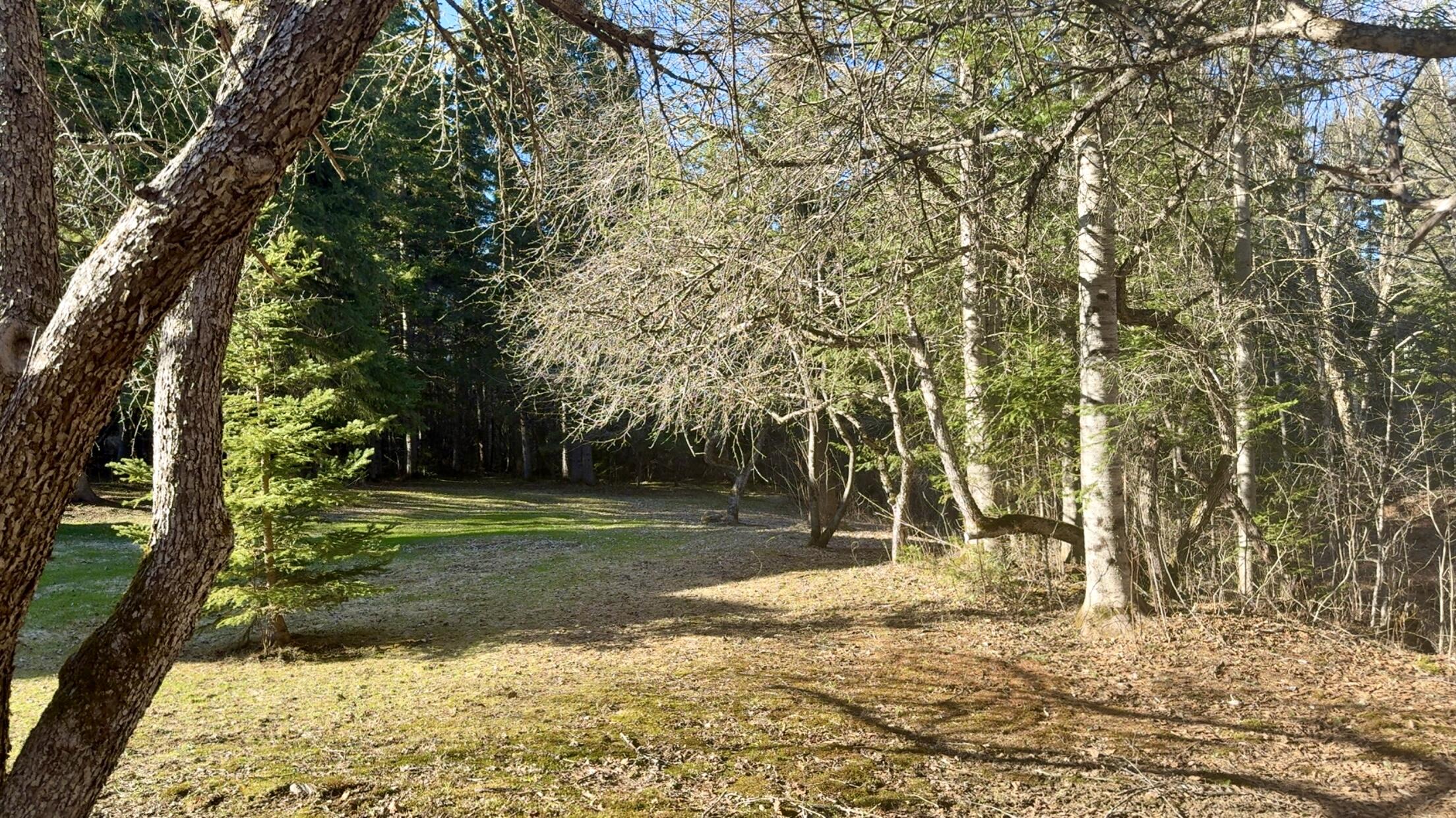 388 Creasey Ridge Road Mapleton ME 04757