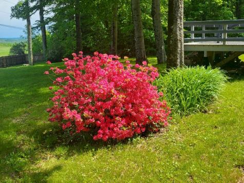 175 Chesterville Road Jay ME 04239