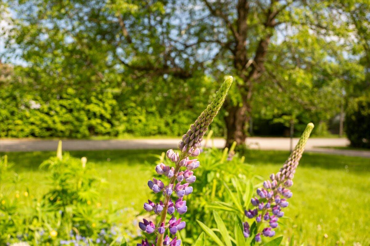 40 Shaw Avenue Rockland ME 04841