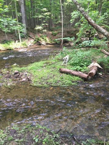 75 Twin Oaks Drive Saint Albans ME 04971