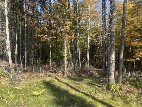 75 Twin Oaks Drive Saint Albans ME 04971