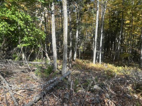 75 Twin Oaks Drive Saint Albans ME 04971