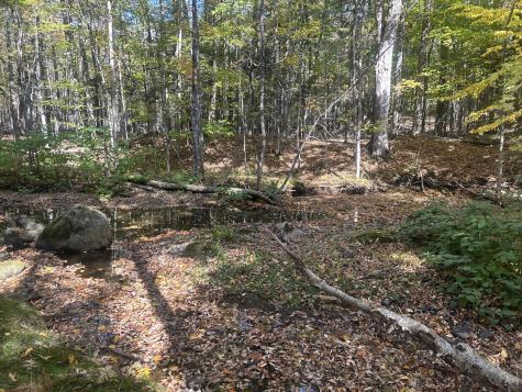 75 Twin Oaks Drive Saint Albans ME 04971